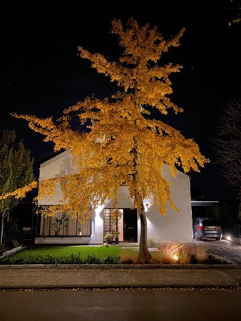 Medium property photo - Kerkweg 70, 8091 GB Wezep